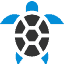 Turtles
