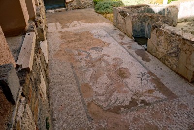 Casa Romana Mosaic Kos