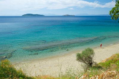 Ftelia Beach Skiathos