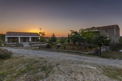 Hippocrates Garden Kos