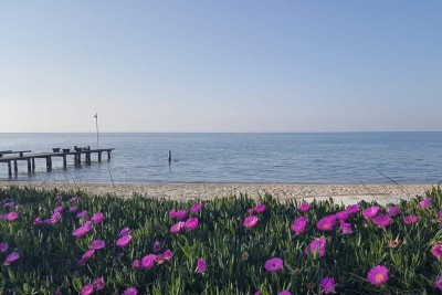 Skala Rachoni Beach Thassos