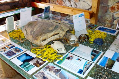 Zante Turtle Centre Exhibit